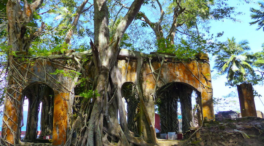 Historic Ross Island & Coral Reefs at North Bay 1
