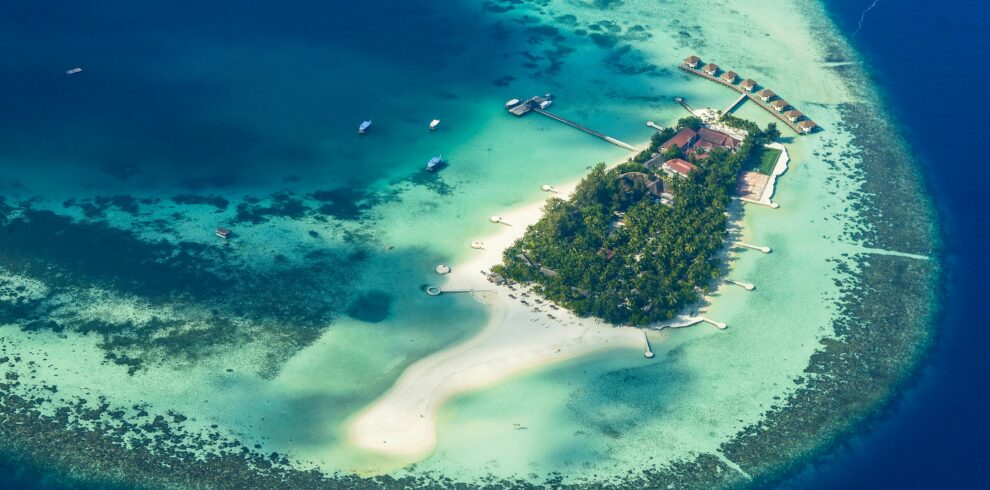 pexels-asadphoto-1456289